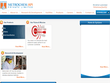 Tablet Screenshot of metroapi.com